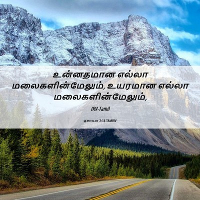 Picture 06 - ஏசாயா 2:14 TAMIRV - உன்னதமான எல்லா - Bible Verse Picture