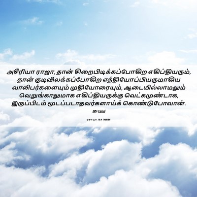 Picture 06 - ஏசாயா 20:4 TAMIRV - அசீரியா ராஜா, தான் - Bible Verse Picture