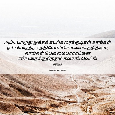 Picture 06 - ஏசாயா 20:5 TAMIRV - அப்பொழுது இந்தக் - Bible Verse Picture