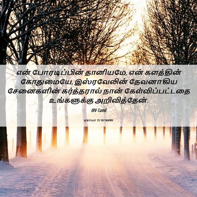 Picture 06 - ஏசாயா 21:10 TAMIRV - என் போரடிப்பின் - Bible Verse Picture
