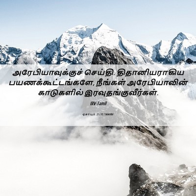 Picture 06 - ஏசாயா 21:13 TAMIRV - அரேபியாவுக்குச் - Bible Verse Picture