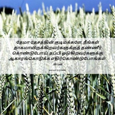 Picture 06 - ஏசாயா 21:14 TAMIRV - தேமா தேசத்தின் - Bible Verse Picture