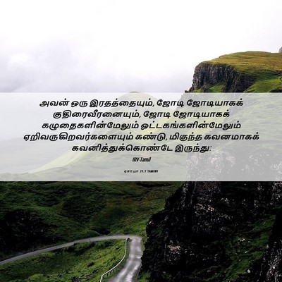 Picture 06 - ஏசாயா 21:7 TAMIRV - அவன் ஒரு - Bible Verse Picture