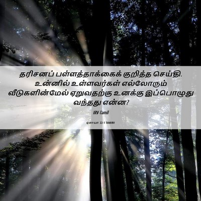 Picture 06 - ஏசாயா 22:1 TAMIRV - தரிசனப் - Bible Verse Picture