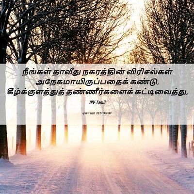 Picture 06 - ஏசாயா 22:9 TAMIRV - நீங்கள் தாவீது - Bible Verse Picture