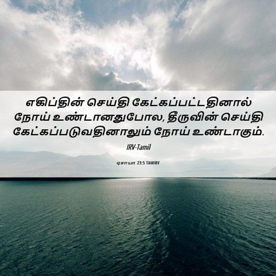 Picture 06 - ஏசாயா 23:5 TAMIRV - எகிப்தின் செய்தி - Bible Verse Picture