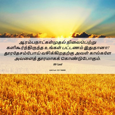 Picture 06 - ஏசாயா 23:7 TAMIRV -  - Bible Verse Picture