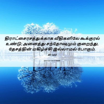Picture 06 - ஏசாயா 24:11 TAMIRV -  - Bible Verse Picture