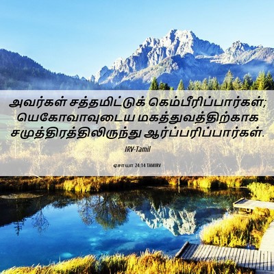 Picture 06 - ஏசாயா 24:14 TAMIRV - அவர்கள் - Bible Verse Picture