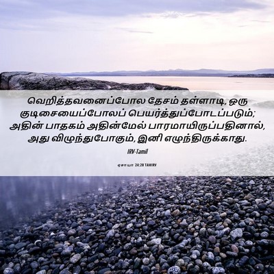 Picture 06 - ஏசாயா 24:20 TAMIRV - வெறித்தவனைப்போல - Bible Verse Picture