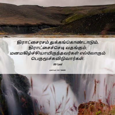Picture 06 - ஏசாயா 24:7 TAMIRV - திராட்சைரசம் - Bible Verse Picture