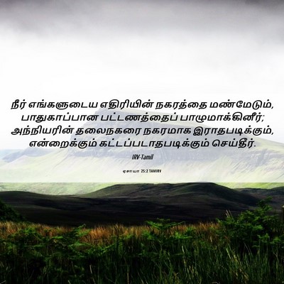 Picture 06 - ஏசாயா 25:2 TAMIRV - நீர் எங்களுடைய - Bible Verse Picture