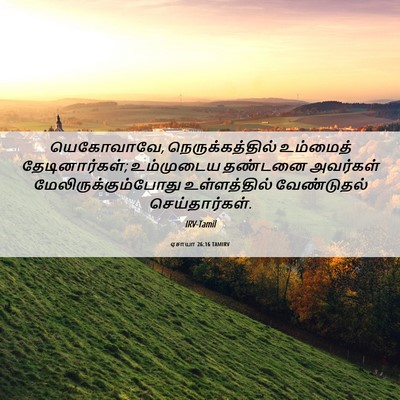 Picture 06 - ஏசாயா 26:16 TAMIRV - யெகோவாவே, - Bible Verse Picture
