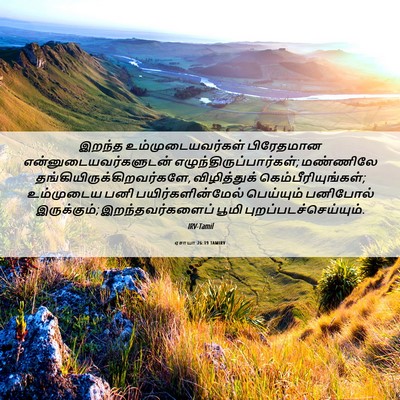 Picture 06 - ஏசாயா 26:19 TAMIRV - இறந்த - Bible Verse Picture