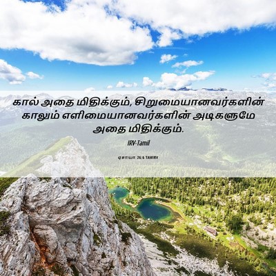 Picture 06 - ஏசாயா 26:6 TAMIRV - கால் அதை - Bible Verse Picture