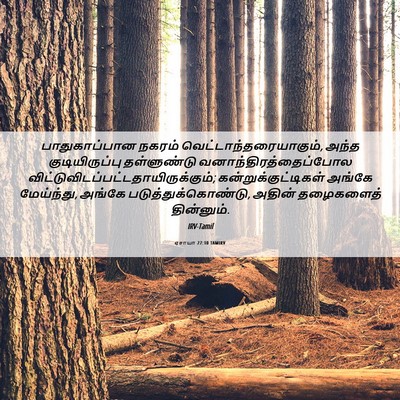 Picture 06 - ஏசாயா 27:10 TAMIRV - பாதுகாப்பான நகரம் - Bible Verse Picture