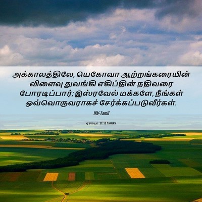 Picture 06 - ஏசாயா 27:12 TAMIRV - அக்காலத்திலே, - Bible Verse Picture
