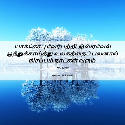 Picture 06 - ஏசாயா 27:6 TAMIRV - யாக்கோபு - Bible Verse Picture