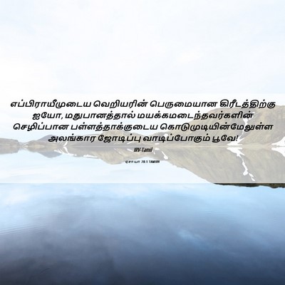 Picture 06 - ஏசாயா 28:1 TAMIRV - எப்பிராயீமுடைய - Bible Verse Picture