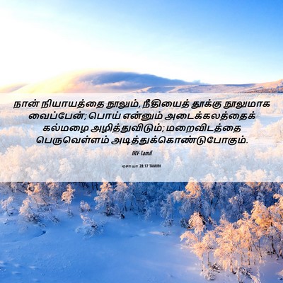 Picture 06 - ஏசாயா 28:17 TAMIRV - நான் நியாயத்தை - Bible Verse Picture