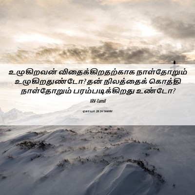 Picture 06 - ஏசாயா 28:24 TAMIRV - உழுகிறவன் - Bible Verse Picture