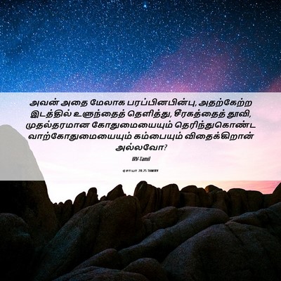 Picture 06 - ஏசாயா 28:25 TAMIRV - அவன் அதை மேலாக - Bible Verse Picture