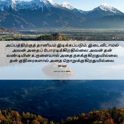 Picture 06 - ஏசாயா 28:28 TAMIRV - அப்பத்திற்குத் - Bible Verse Picture