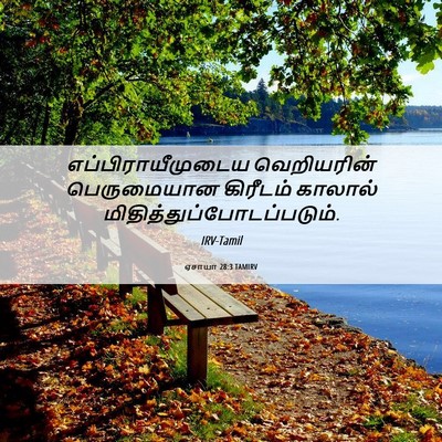 Picture 06 - ஏசாயா 28:3 TAMIRV - எப்பிராயீமுடைய - Bible Verse Picture