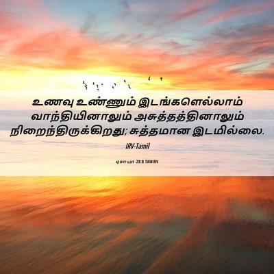 Picture 06 - ஏசாயா 28:8 TAMIRV - உணவு உண்ணும் - Bible Verse Picture