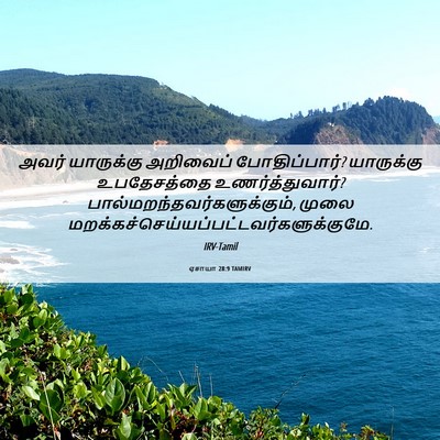 Picture 06 - ஏசாயா 28:9 TAMIRV - அவர் யாருக்கு - Bible Verse Picture
