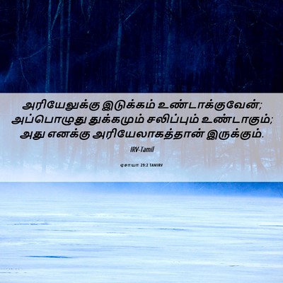 Picture 06 - ஏசாயா 29:2 TAMIRV - அரியேலுக்கு - Bible Verse Picture