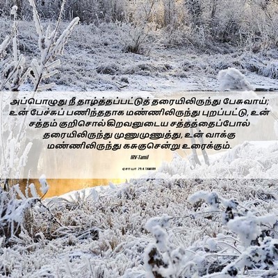 Picture 06 - ஏசாயா 29:4 TAMIRV - அப்பொழுது நீ - Bible Verse Picture
