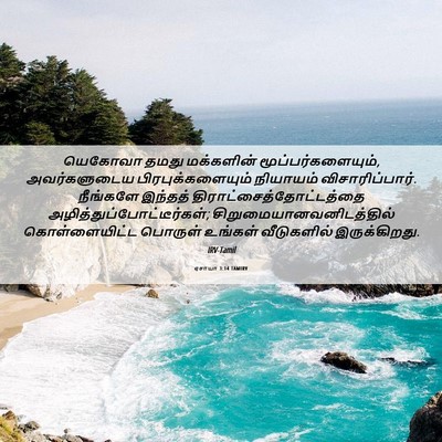 Picture 06 - ஏசாயா 3:14 TAMIRV - யெகோவா தமது - Bible Verse Picture
