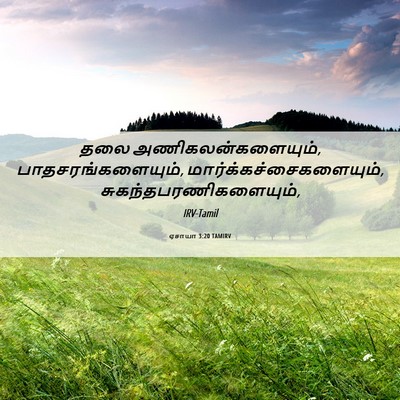 Picture 06 - ஏசாயா 3:20 TAMIRV - தலை - Bible Verse Picture