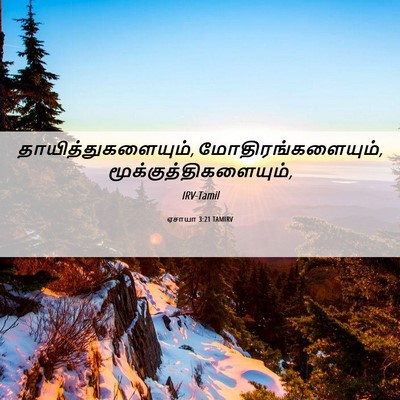Picture 06 - ஏசாயா 3:21 TAMIRV - தாயித்துகளையும், - Bible Verse Picture