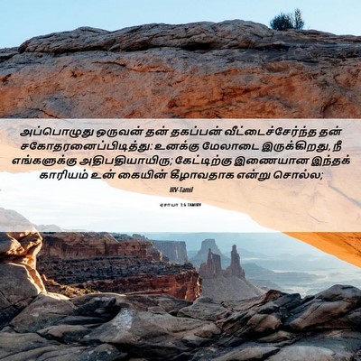 Picture 06 - ஏசாயா 3:6 TAMIRV - அப்பொழுது ஒருவன் - Bible Verse Picture