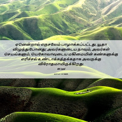 Picture 06 - ஏசாயா 3:8 TAMIRV - ஏனென்றால் - Bible Verse Picture
