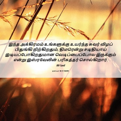 Picture 06 - ஏசாயா 30:13 TAMIRV - இந்த அக்கிரமம் - Bible Verse Picture