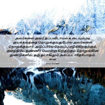 Picture 06 - ஏசாயா 30:14 TAMIRV - அவர்களை அவர் - Bible Verse Picture
