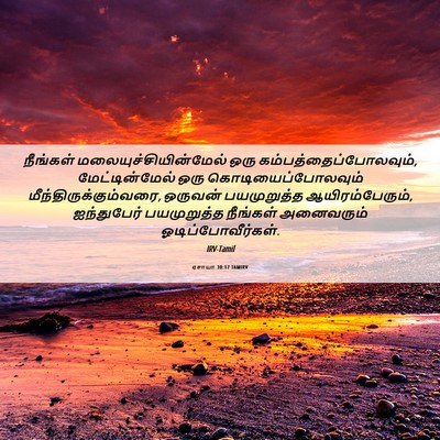 Picture 06 - ஏசாயா 30:17 TAMIRV - நீங்கள் - Bible Verse Picture