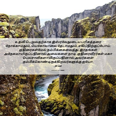 Picture 06 - ஏசாயா 31:1 TAMIRV - உதவி பெறுவதற்காக - Bible Verse Picture