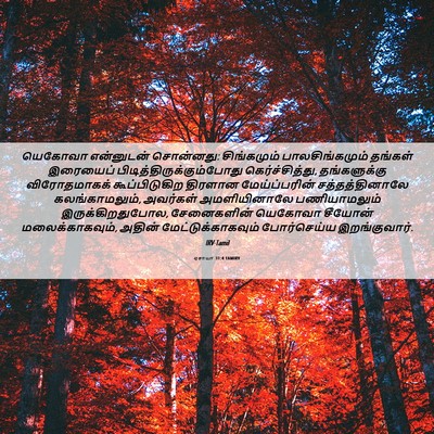 Picture 06 - ஏசாயா 31:4 TAMIRV - யெகோவா என்னுடன் - Bible Verse Picture
