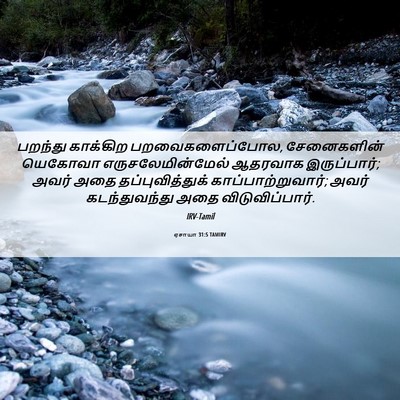Picture 06 - ஏசாயா 31:5 TAMIRV - பறந்து காக்கிற - Bible Verse Picture