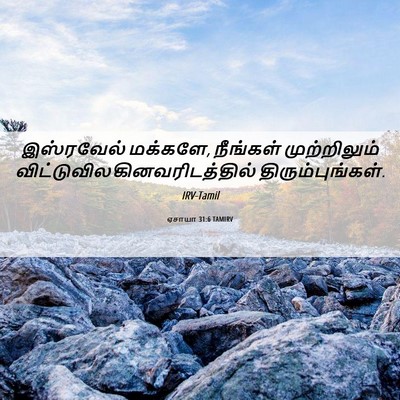 Picture 06 - ஏசாயா 31:6 TAMIRV - இஸ்ரவேல் மக்களே, - Bible Verse Picture