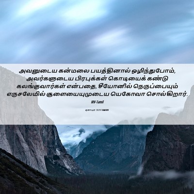 Picture 06 - ஏசாயா 31:9 TAMIRV - அவனுடைய கன்மலை - Bible Verse Picture