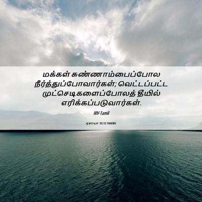 Picture 06 - ஏசாயா 33:12 TAMIRV - மக்கள் - Bible Verse Picture