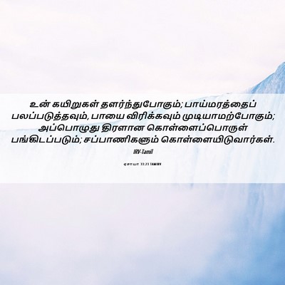Picture 06 - ஏசாயா 33:23 TAMIRV - உன் கயிறுகள் - Bible Verse Picture