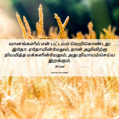 Picture 06 - ஏசாயா 34:5 TAMIRV - வானங்களில் என் - Bible Verse Picture