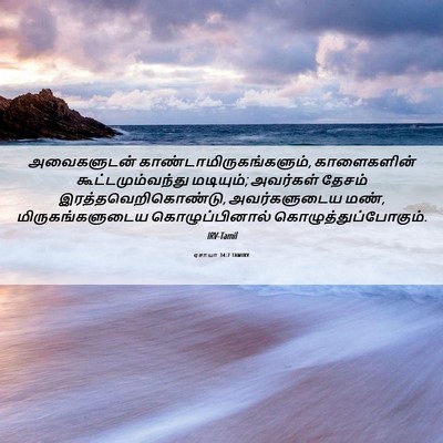 Picture 06 - ஏசாயா 34:7 TAMIRV - அவைகளுடன் - Bible Verse Picture