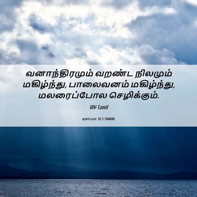 Picture 06 - ஏசாயா 35:1 TAMIRV - வனாந்திரமும் - Bible Verse Picture